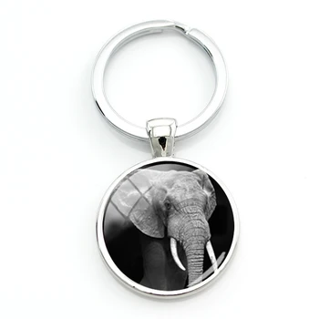 TAFREE Черно-Бял Фон Животни Ключодържатели За Ключове За Любителите на Животни Слон, Тигър, Лъв Снимки Класически Стъклени Украшения